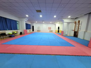 рук бой - боевое самбо - ММА